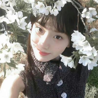 永不遗忘的美丽