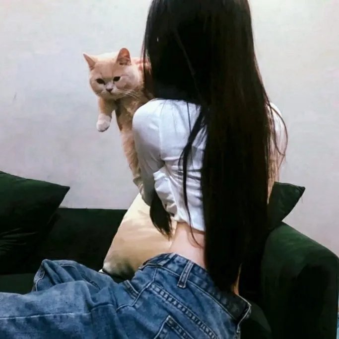 咒怨:完结篇